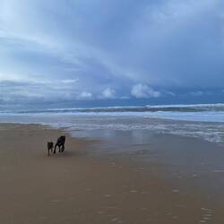 Energie loswerden - klein auf groß
