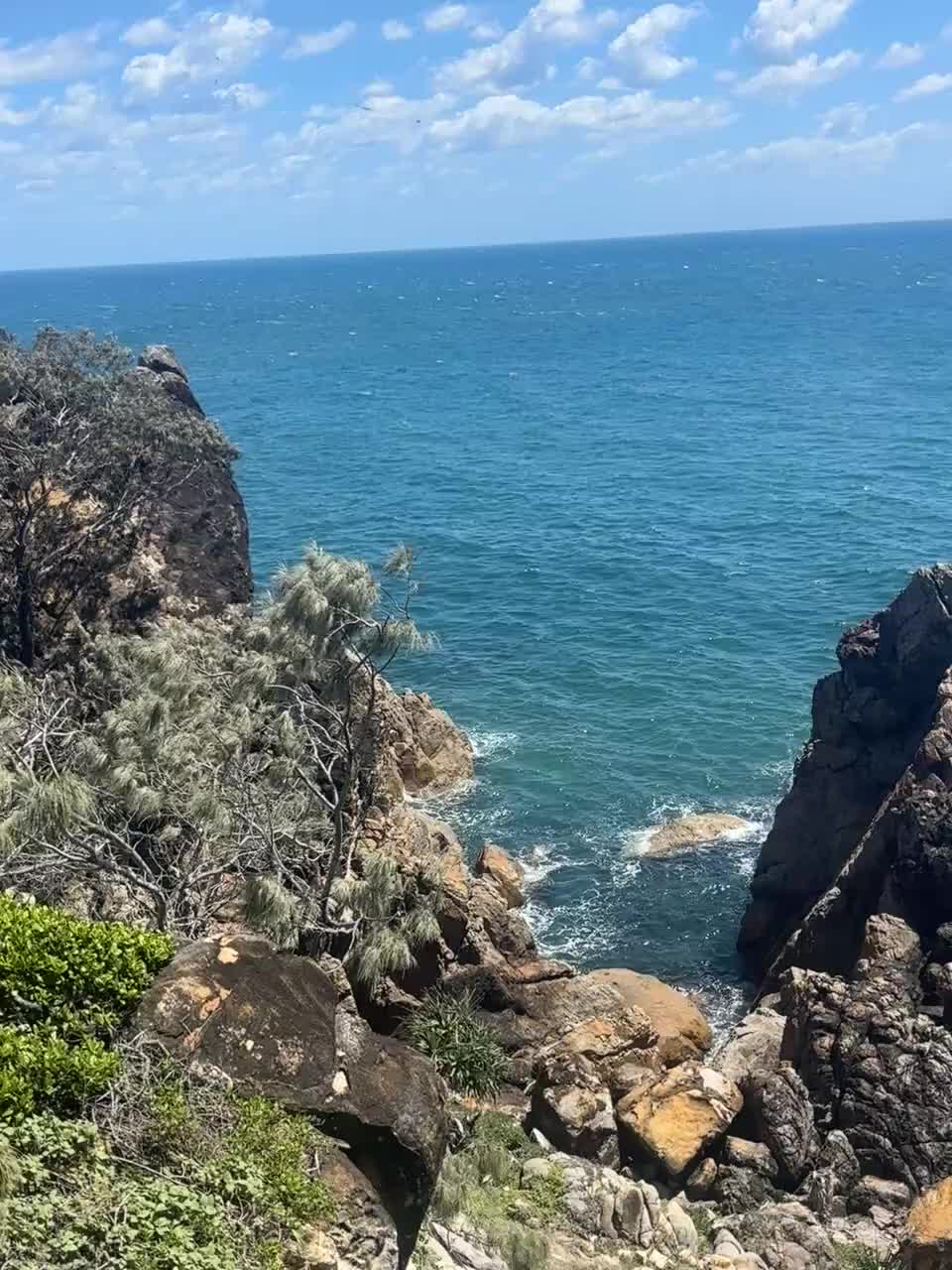 Adlerrochen 2 sind auf dem Video