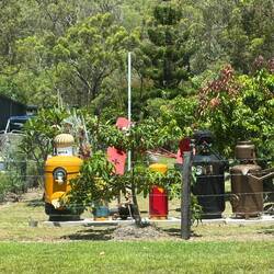 Vorgärten unterwegs 😃