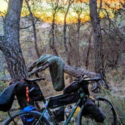 Dann eben einfach hier