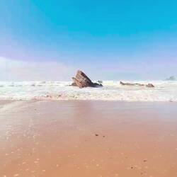 Wave came in so quickly and brought sticks with it!