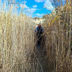 Ça me rappelle quand je jouais à cache cache dans le foin quand j'étais petit 😂