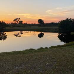 Natur Spiegelungen 🙃