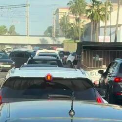 ... der ganz normale Wahnsinn ...