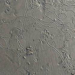 Muster im nassen Sand