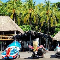 Rancho Alicia. Wäre schon schön, wenn die Hähne nicht wären