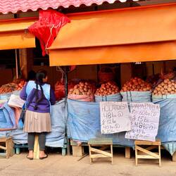 Sooooo viele Sorten Kartoffeln