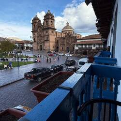 Oder die fehlenden Geranien? Hier fehlt die tat-fachkräftige Hand eines 5*Premium BlumenAndi.