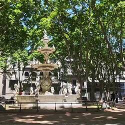 Der Plaza de la Constitucion - ein schöner Platz zum Ausruhen im Schatten der Platanen