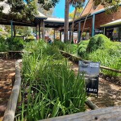 Great little cafe area in town