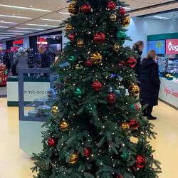 Wien überrascht uns weihnachtlich