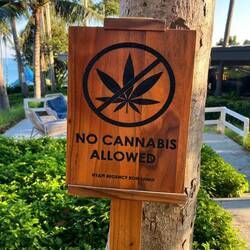 🚬🫢🌱🌱🌱🌱