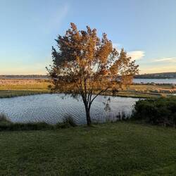 Vom Balkon in St .Helens👍