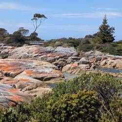 Bay of Fires