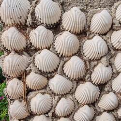 Noch nicht ganz fertig, wird aber irgendwann! Vielleicht.