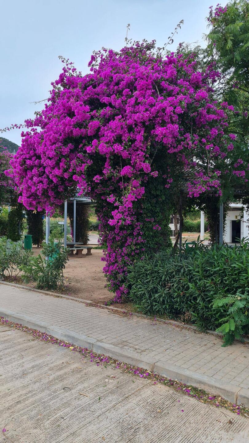 An einem Rastplatz blüht das Leben