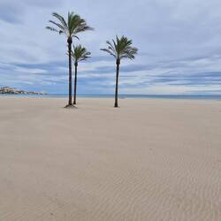 Der Sandstrand war seltsamerweise menschenleer