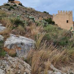 Wir kommen näher, aber was für ein Weg?