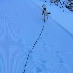 Jeder Spur wird nachgegangen