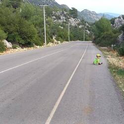 Le jeu récurrent de Colin: qu'on le trouve au bord de la route pour l'accueillir