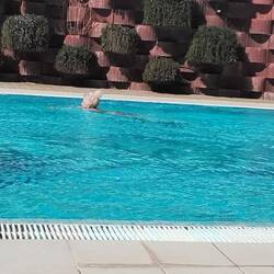 Kleine Ausdauerrunde im Pool.