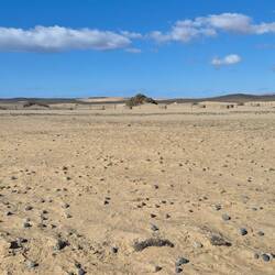 Strand von Maspalomas.