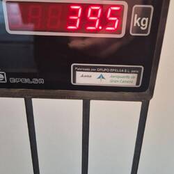 Wir hätten ja noch für 500 g Platz.