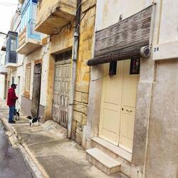 Rollos vor den Haustüren ...