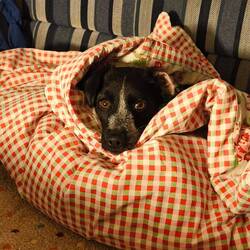 Regenfreie Zone 🫩