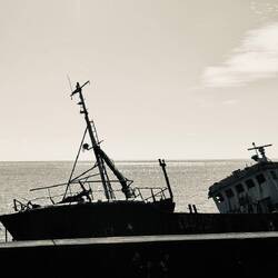 Casualty of Hurricane Irma