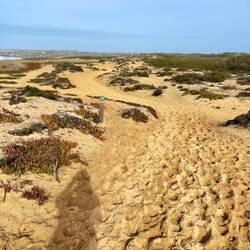 Most of the trail is sand