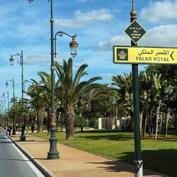 Rabat ist Hauptstadt und Sitz des Königs - sieht man, alles ist top gepflegt, kein Müll