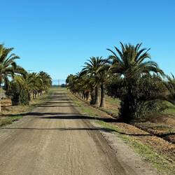 Wir kaufen noch echten marokkanischen Wein und ziehen weiter