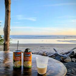 Piña Colada aus der Dose, war nicht der Hit