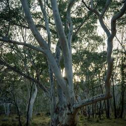 Sunrise from the Bus