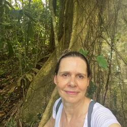 Dieser Baum wird als Baum des Lebens bezeichnet