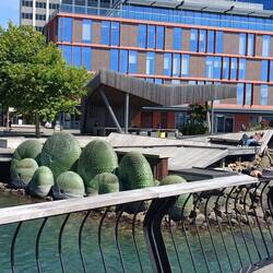 Retour de l'ambassade 😉