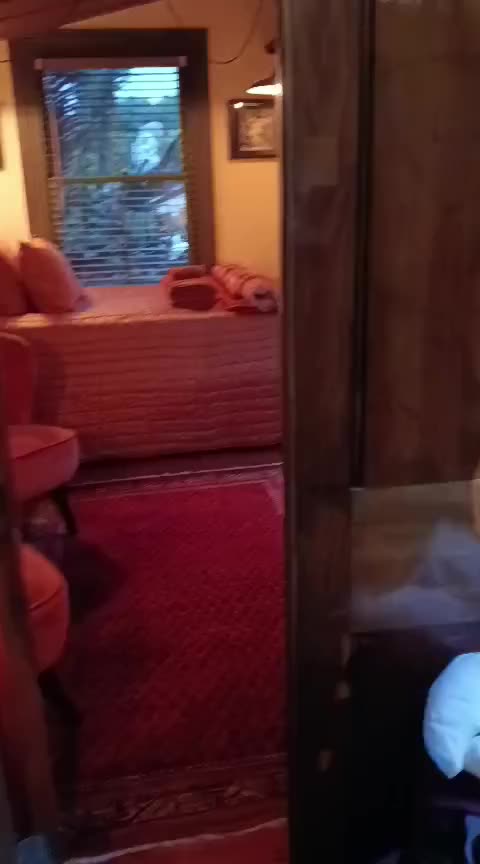 Das ist die sweete Cozy Cabin - unser Airbnb bei Lizz