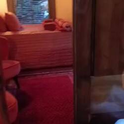 Das ist die sweete Cozy Cabin - unser Airbnb bei Lizz