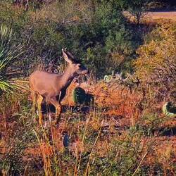 Abfahrt vom Stellplatz