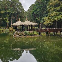 Sister Pond