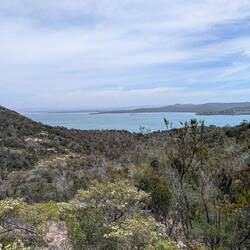 Halbe Höhe /Coles Bay