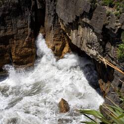 Best blow hole image