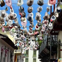 Hüte sind hier ein Thema