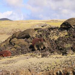 Viele Moai brachen beim Umfallen, ihre Hüte liegen am Boden