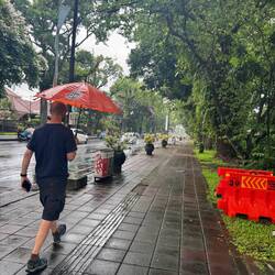 Lilz is enjoying one of Indonesia's rare pavements. We now have a deep appreciation for them.