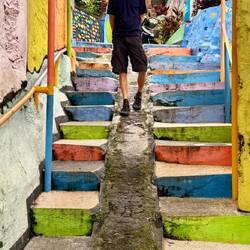 We are immediately enveloped by colour - green, orange, purple, yellow, blue, pink