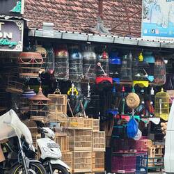 Among Javanese households it is estimated 75m caged birds are kept ... as a symbol of sophistication