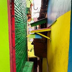 The vibrant colours have brought about real change.