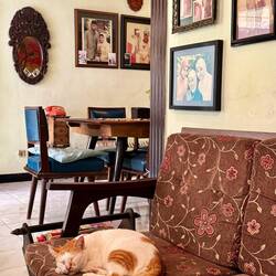 Jengki 976 vintage cafe in Kajoetangan Heritage district. We're basically in someone's front room.